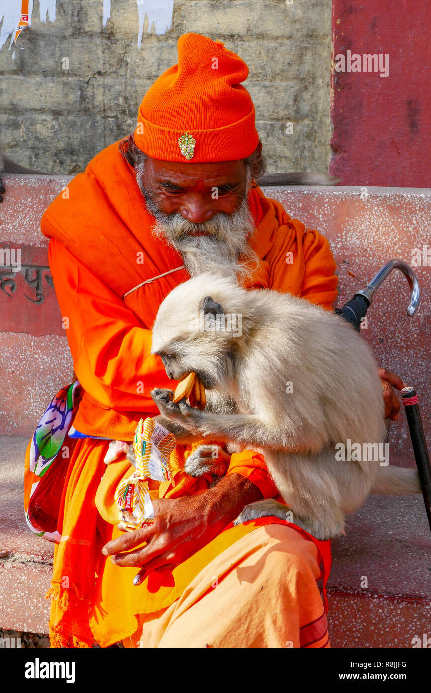 Plus yogi avec monkey assis au banc à Rishikesh, Inde Banque D'Images