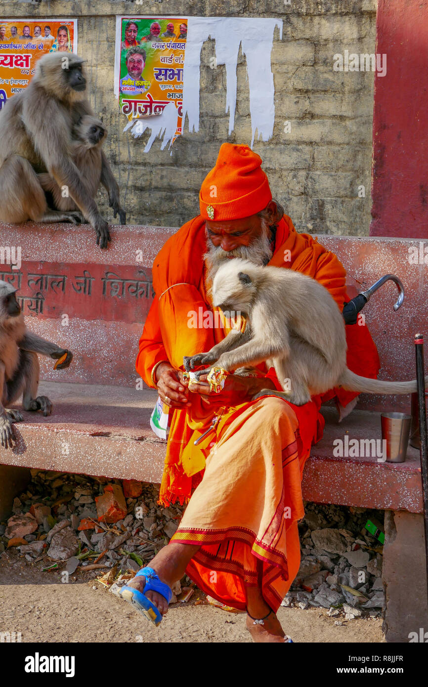 Plus yogi avec monkey assis au banc à Rishikesh, Inde Banque D'Images