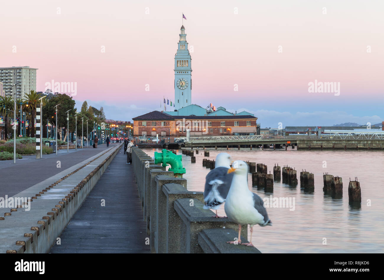 Parc au bord de l'eau par Embarcadero Street avec le Ferry Building Tour de l'horloge en arrière-plan, San Francisco, California, United States. Banque D'Images