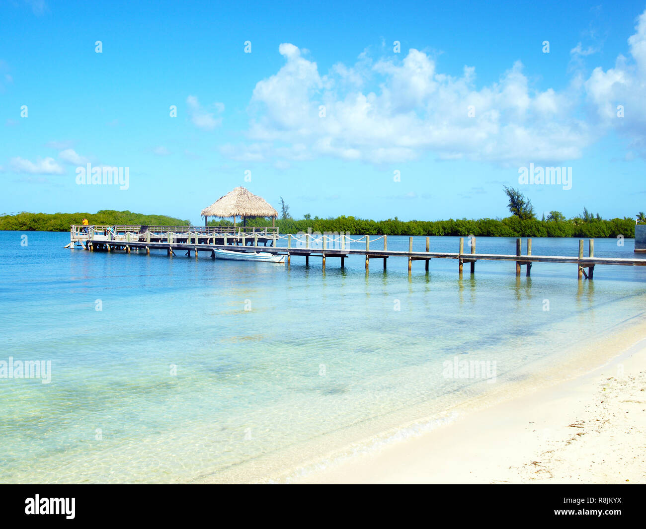 Vue à couper le souffle, Roatan Banque D'Images