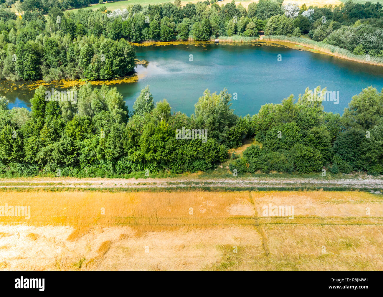 Vue aérienne avec le vrombissement d'un étang bleu derrière un champ de blé jaune récoltés Banque D'Images