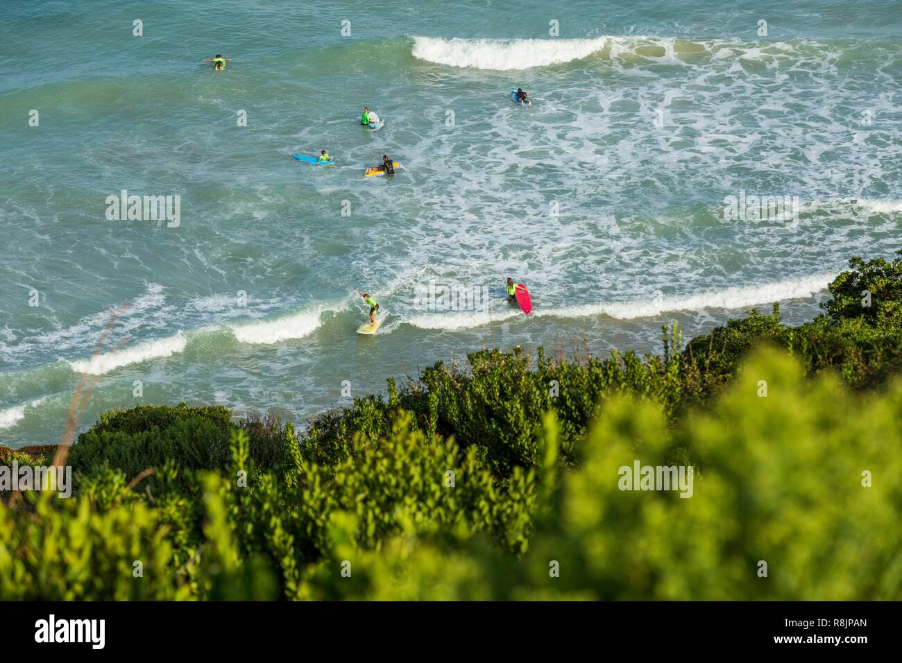 France, Pyrénées Atlantiques, pays Bask, Bidart, leçons de surf Banque D'Images