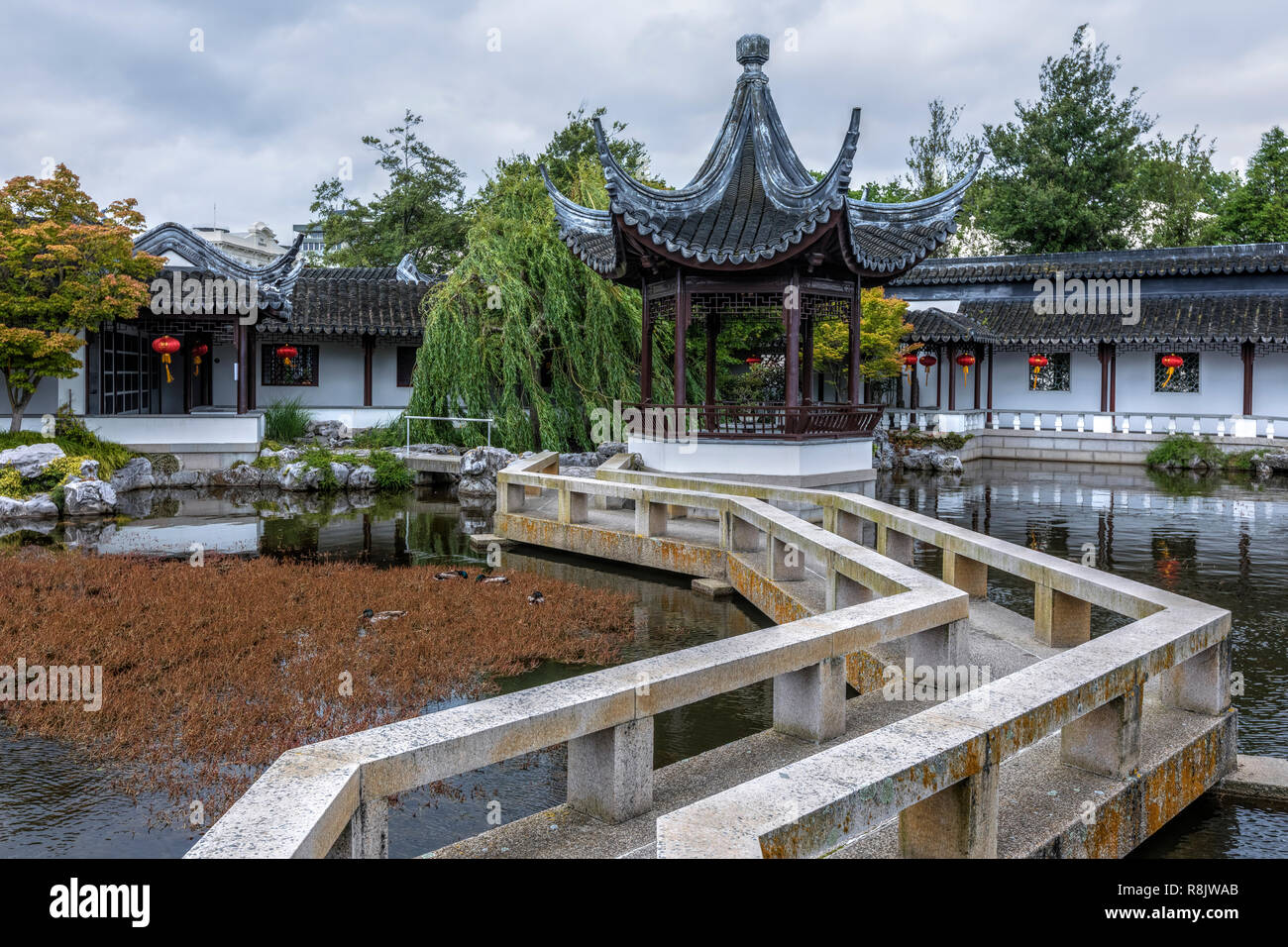 Dunedin, Jardin Chinois, île du Sud, Nouvelle-Zélande Banque D'Images