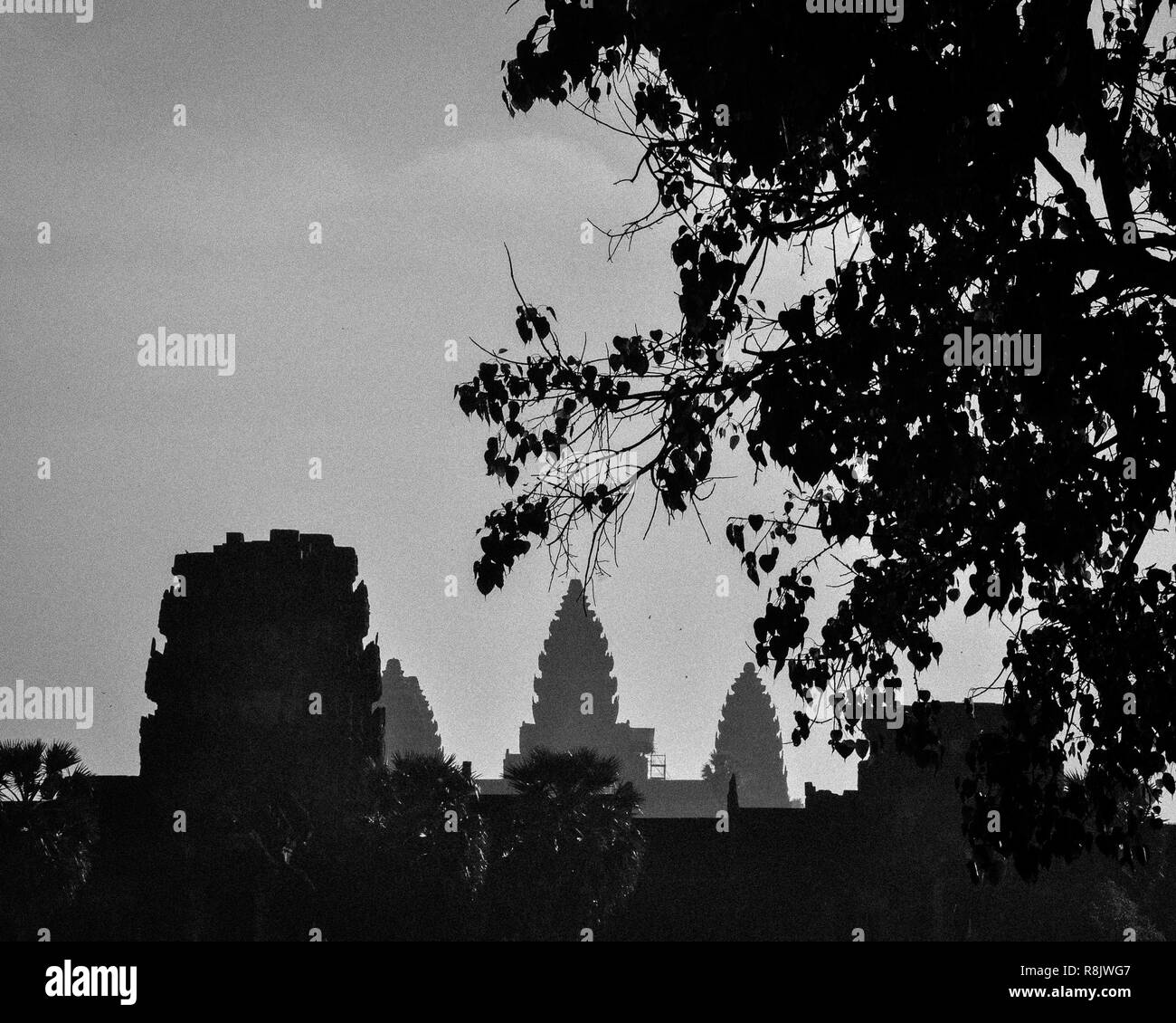 Complexe du temple d'Angkor Wat au Cambodge Banque D'Images