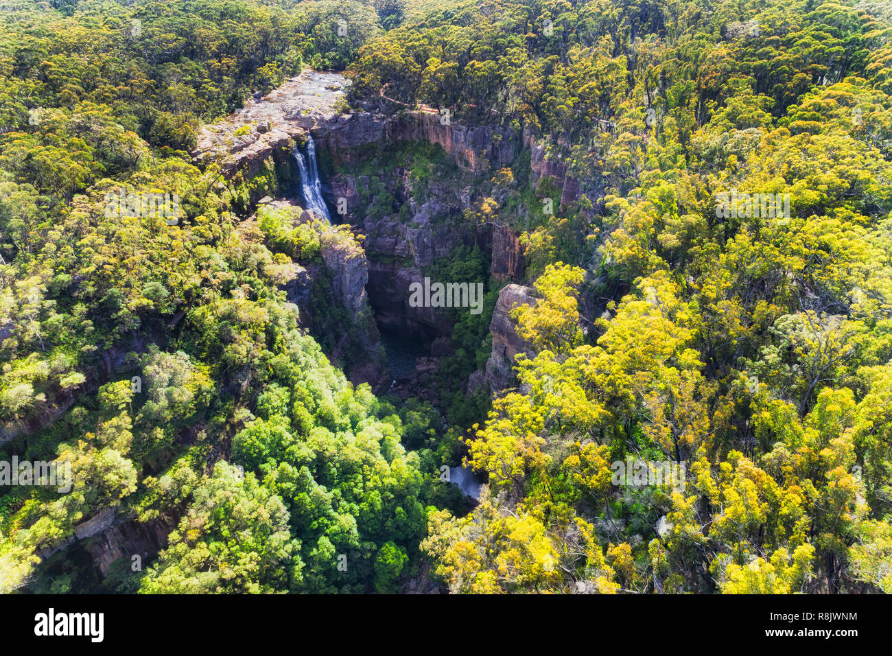 Érodé Creek dans le haut de la vallée de la rivière Kangourou Kangourou sur le streaming vers le bas comme Carrington falls profondément à l'intérieur de Gum Tree Woods. Banque D'Images