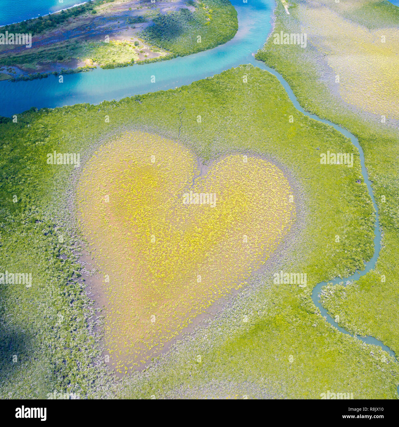 Coeur de Voh, vue aérienne, la formation de la végétation des mangroves ressemble à un coeur vu de dessus, la Nouvelle Calédonie, la Micronésie, l'océan Pacifique Sud. Coeur de la Terre. Le jour de la terre. Aimer la vie, économiser de l'environnement. Banque D'Images