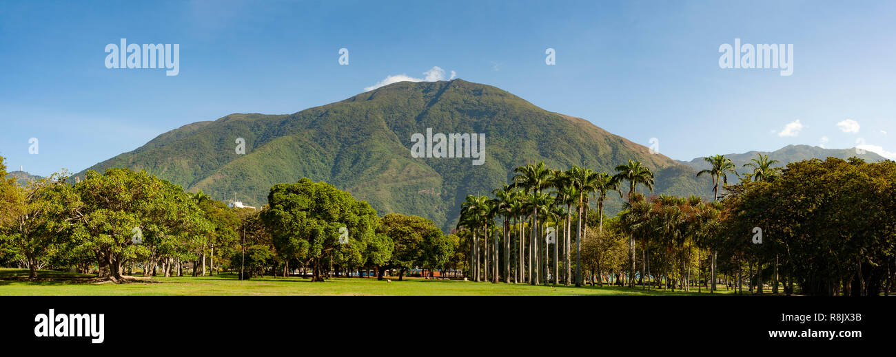 Vue de l'emblématique montagne de Caracas el Avila ou Waraira Repano à partir de l'Est ou du parc Parque del Este. Banque D'Images