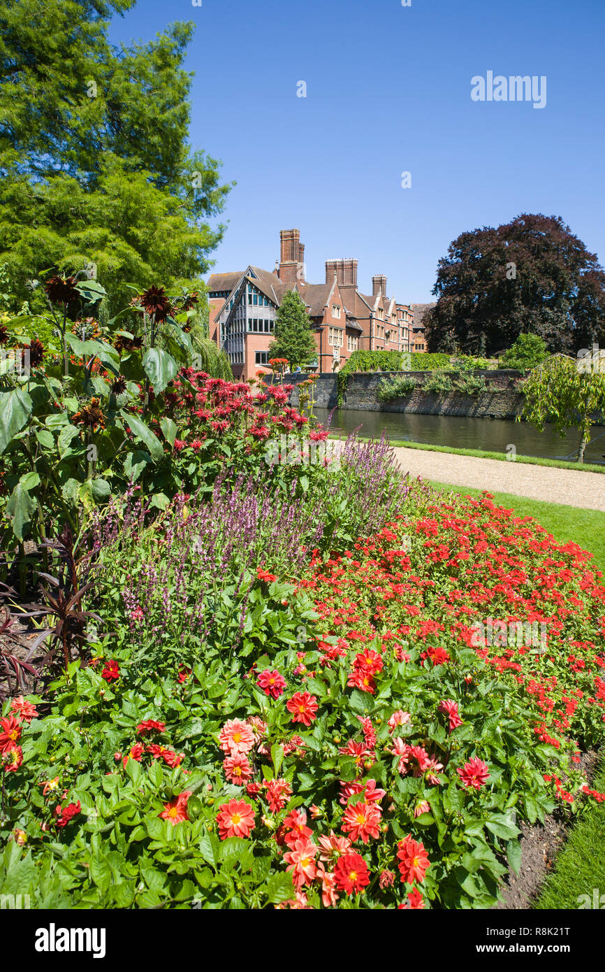 Avis de Trinity Hall College du jardin Fellows, Clare College, Cambridge University Banque D'Images