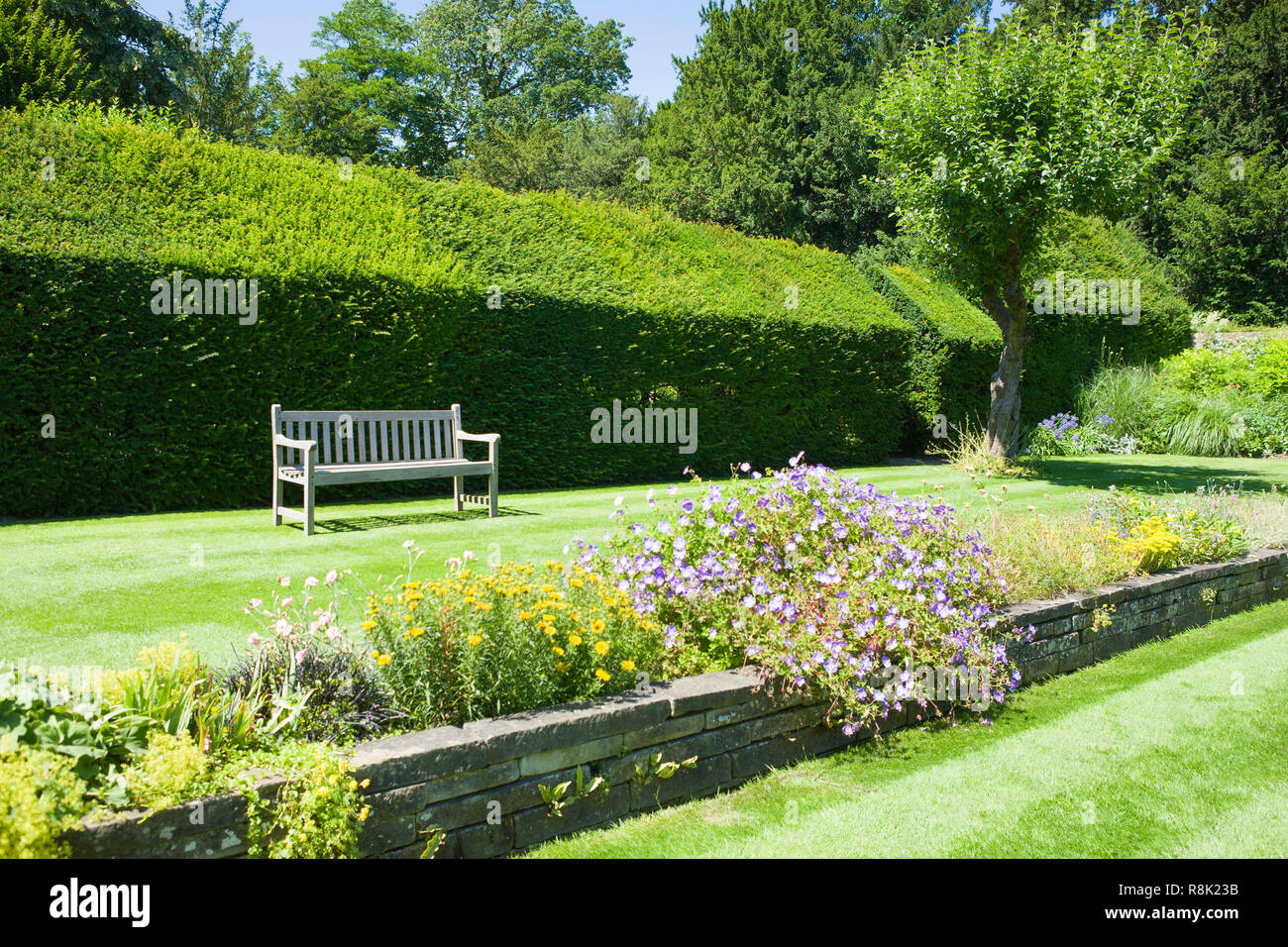 Les Fellows Garden, Clare College, Cambridge University Banque D'Images