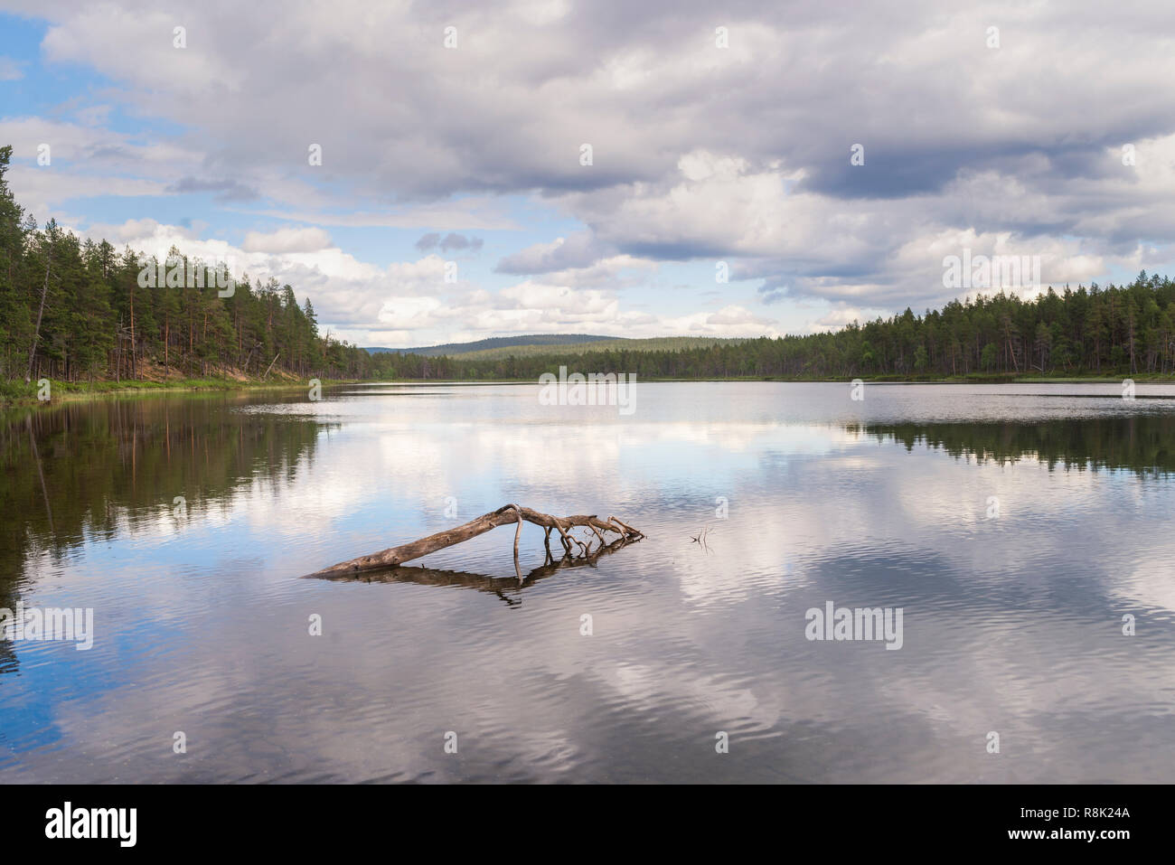 Laponie paysage estival.magnifique lac. Banque D'Images