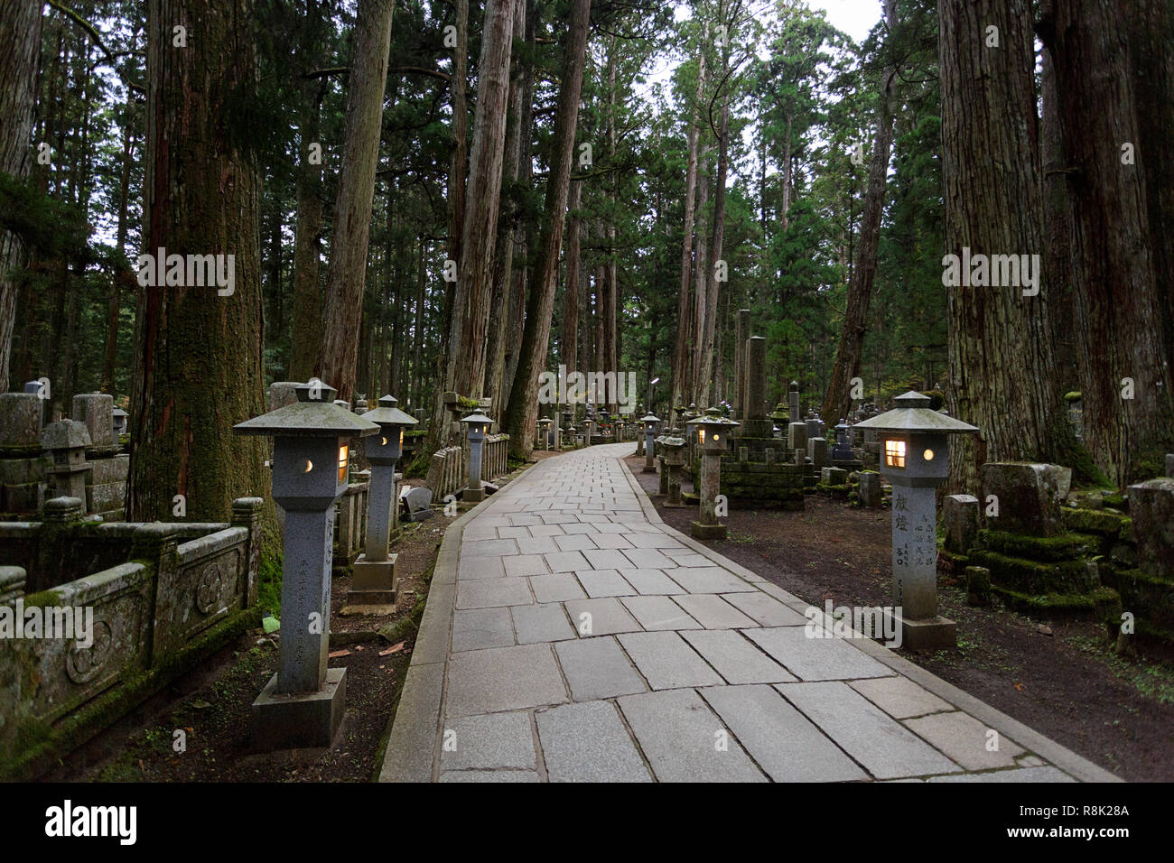 Un chemin à travers l'Oku-no-in ancient cimetière bouddhiste dans Koyasan (高野山), Japon Banque D'Images