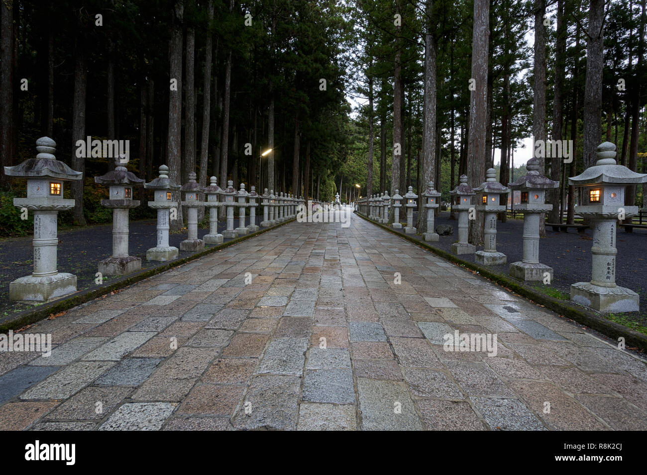 Un chemin à travers l'Oku-no-in ancient cimetière bouddhiste dans Koyasan (高野山), Japon Banque D'Images