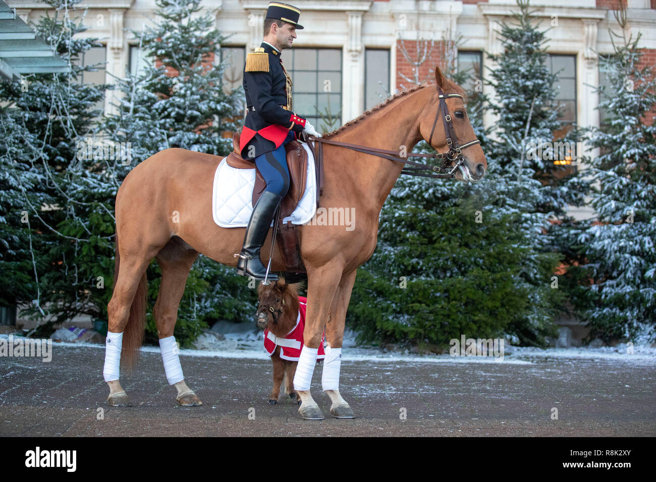 Sandro Pozzobon du La Garde RŽpublicaine, régiment de cavalerie française avec poney Shetland Bonnie, arrive à l'entrée de la Grande Galerie à Olympia Londres avant le début de la London International Horse Show. Banque D'Images