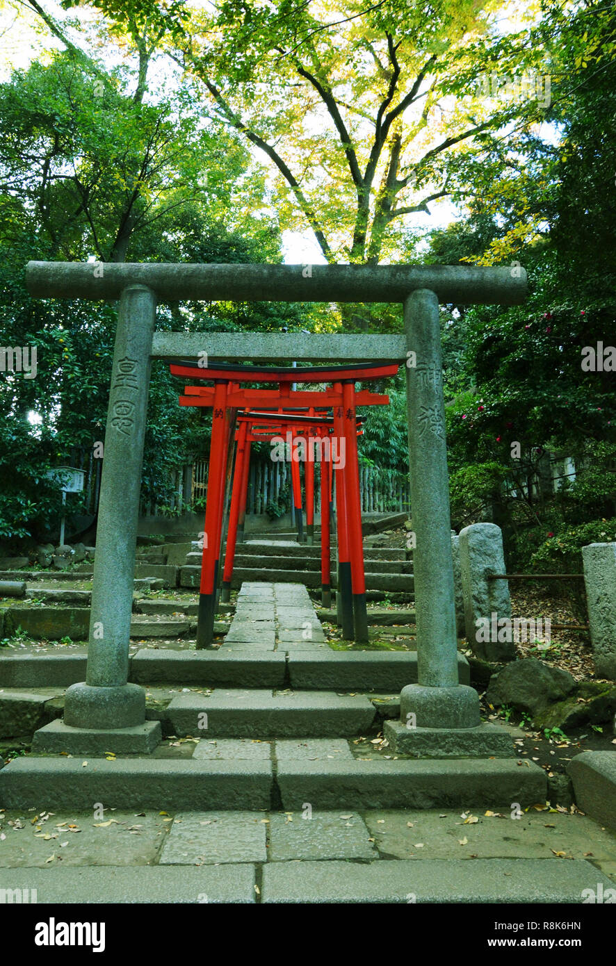 Sanctuaire Nezu, un sanctuaire shinto à Tokyo, Japon Banque D'Images