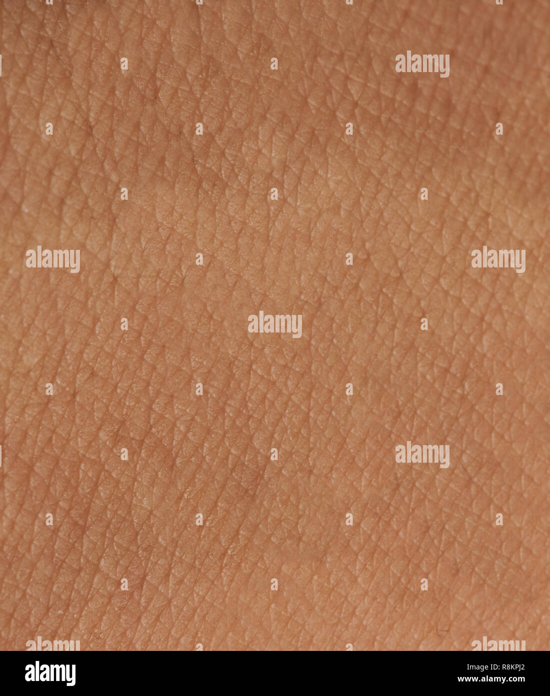 Motif peau sombre avec les cellules et les lignes de texture. Close up of the surface de peau Banque D'Images