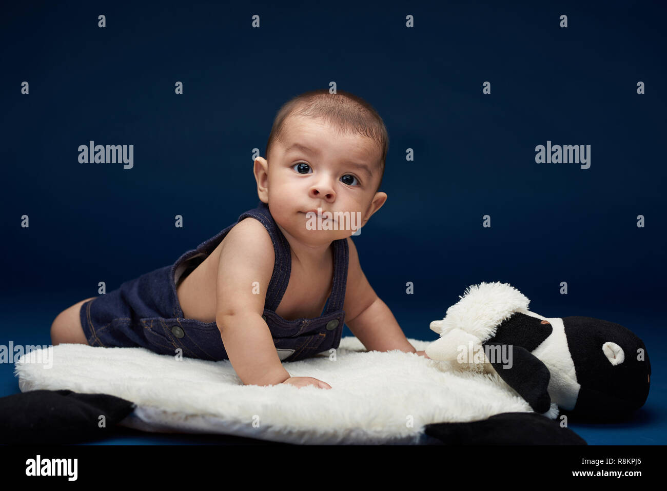 Mignon petit bébé garçon assis sur l'oreiller en bleu fond studio Banque D'Images