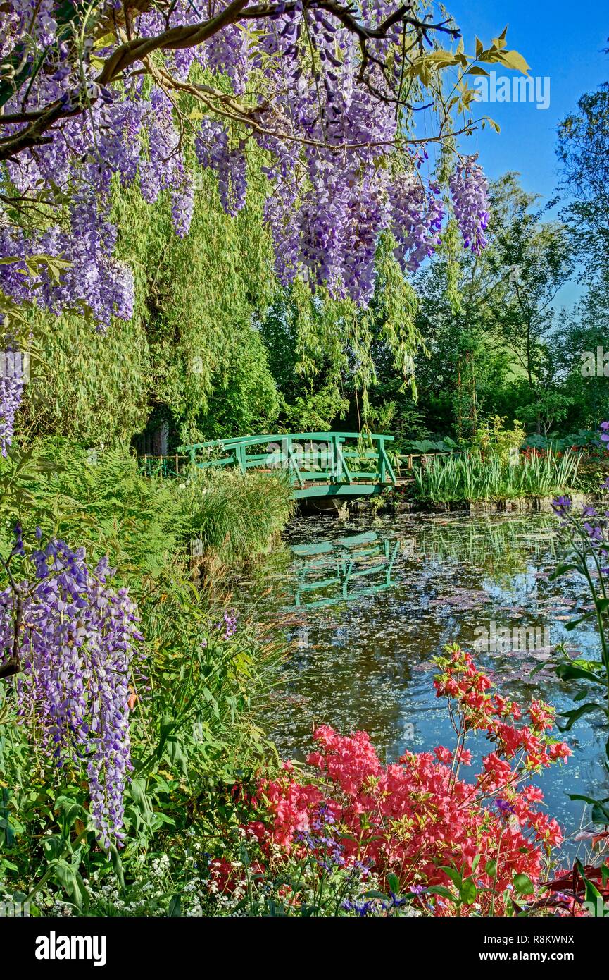 La France, l'Eure, Giverny, Claude Monet, le jardin japonais de glycine en fleurs Banque D'Images