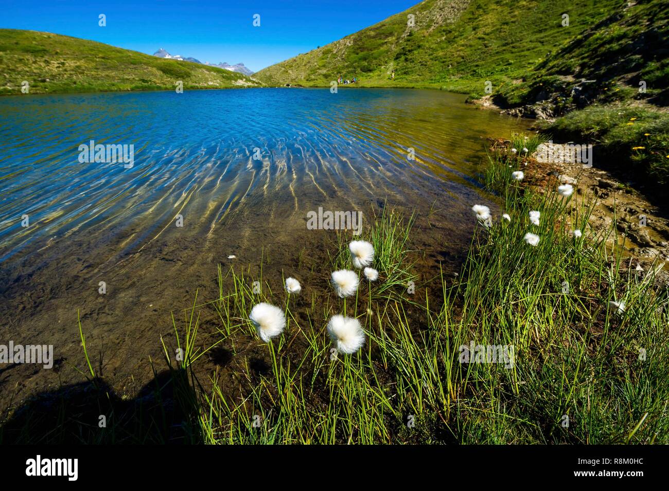 Suisse, Valais, Tour du Mont Blanc, de Trient, Tête de Balme, lac de Catogne  Photo Stock - Alamy