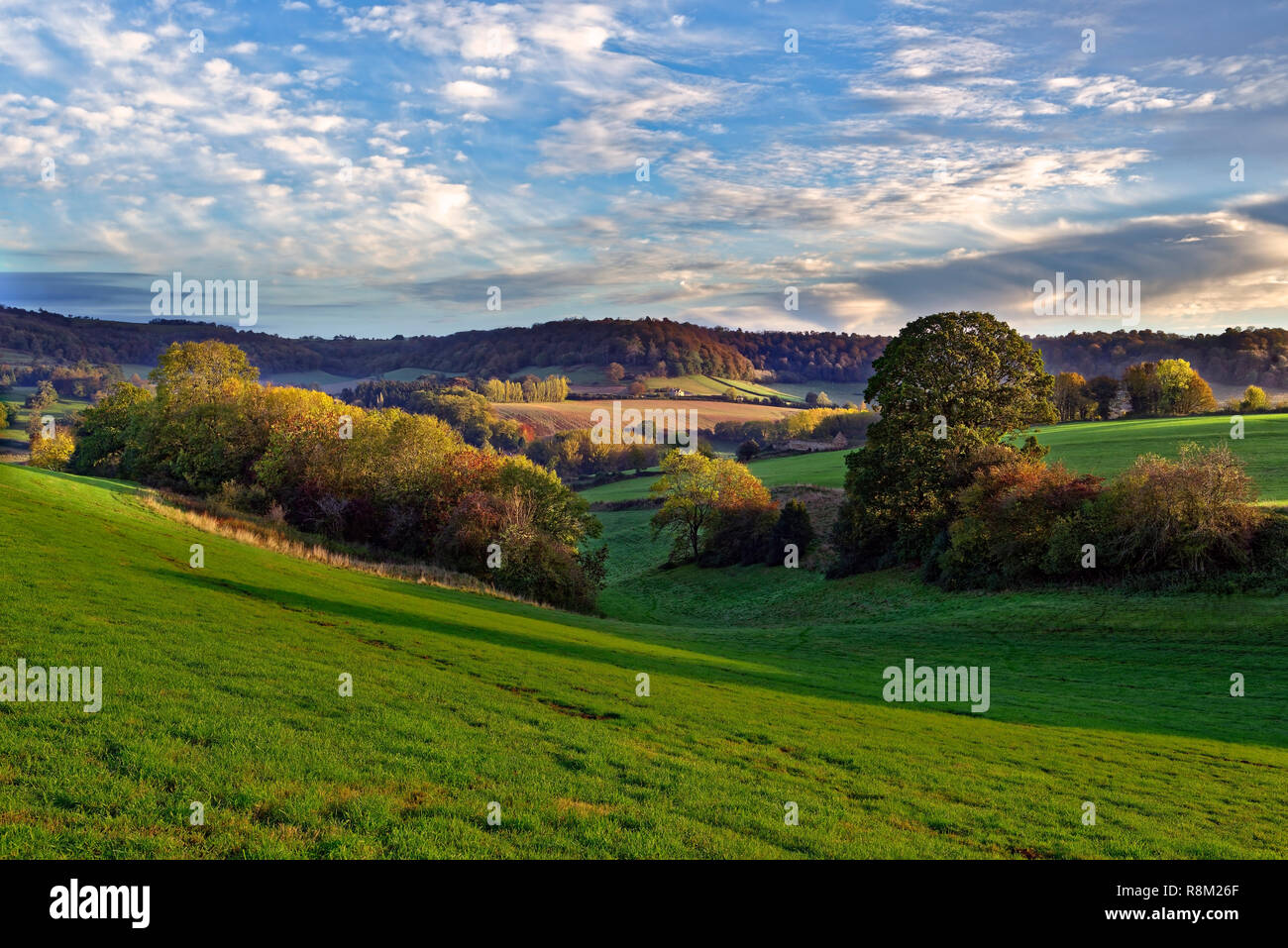 Un automne automne vue sur les collines des Cotswolds, dans le Gloucestershire, en Angleterre. Banque D'Images