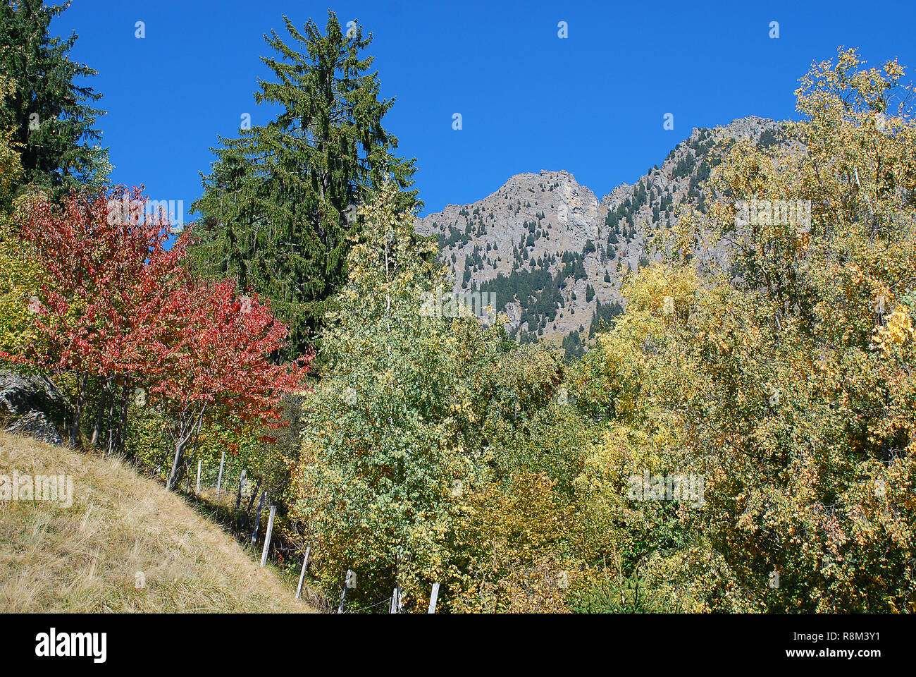 Les pentes sud de la montagne Mutspitze, Tyrol du Sud, Italie Banque D'Images