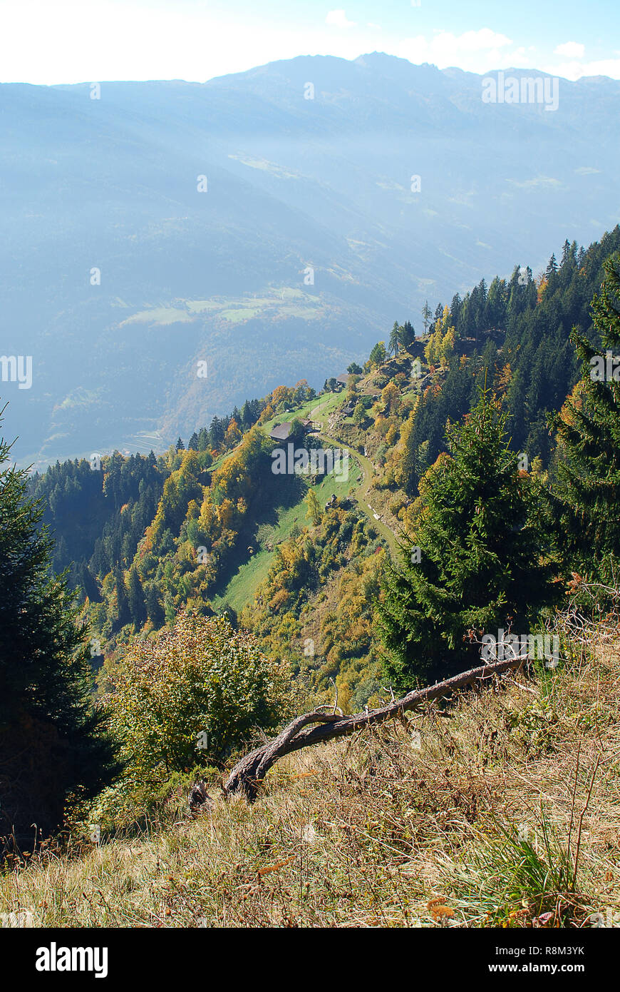 Vue sur les prés et chalets dans les Alpes italiennes, près de Meran, le Tyrol du Sud, Italie. Banque D'Images