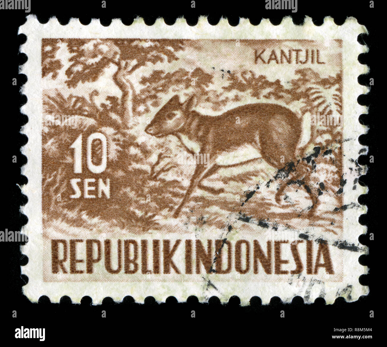 Timbre-poste d'Indonésie dans la série Faune publié en 1957 Banque D'Images