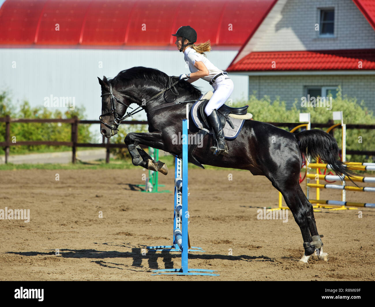 Young Girl jumping obstacle avec bay horse Banque D'Images