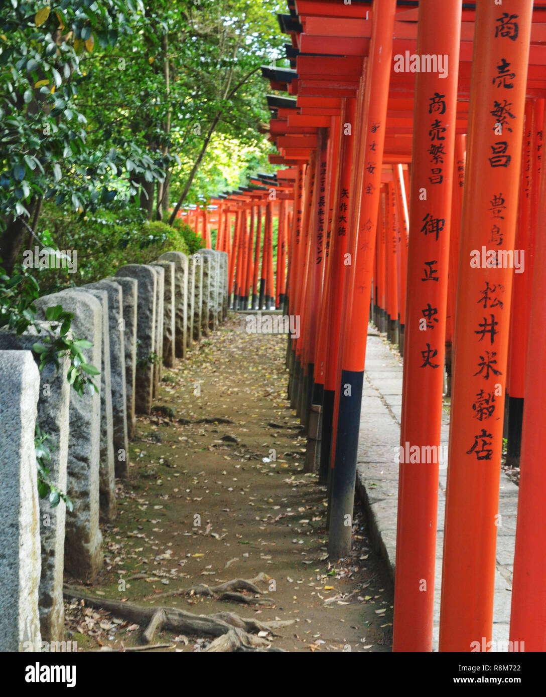 Sanctuaire Nezu, un sanctuaire shinto à Tokyo, Japon Banque D'Images