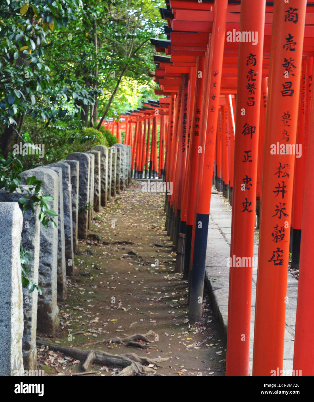 Sanctuaire Nezu, un sanctuaire shinto à Tokyo, Japon Banque D'Images