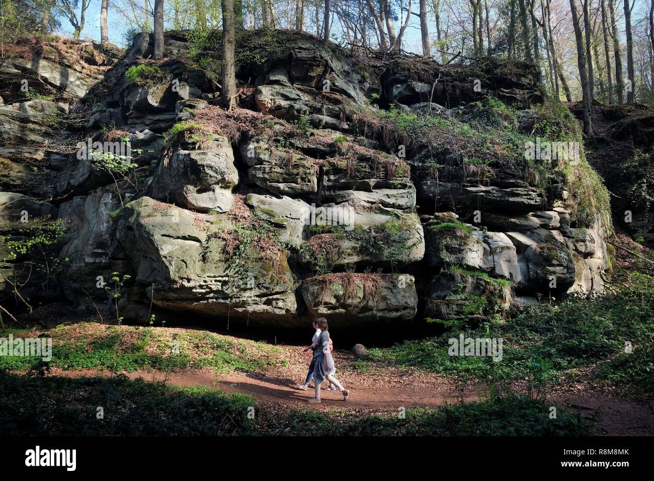 Grand-duché de Luxembourg, Echternach, Consdorf, des sentiers et des paysages de la sentier de randonnée Mullerthal Banque D'Images
