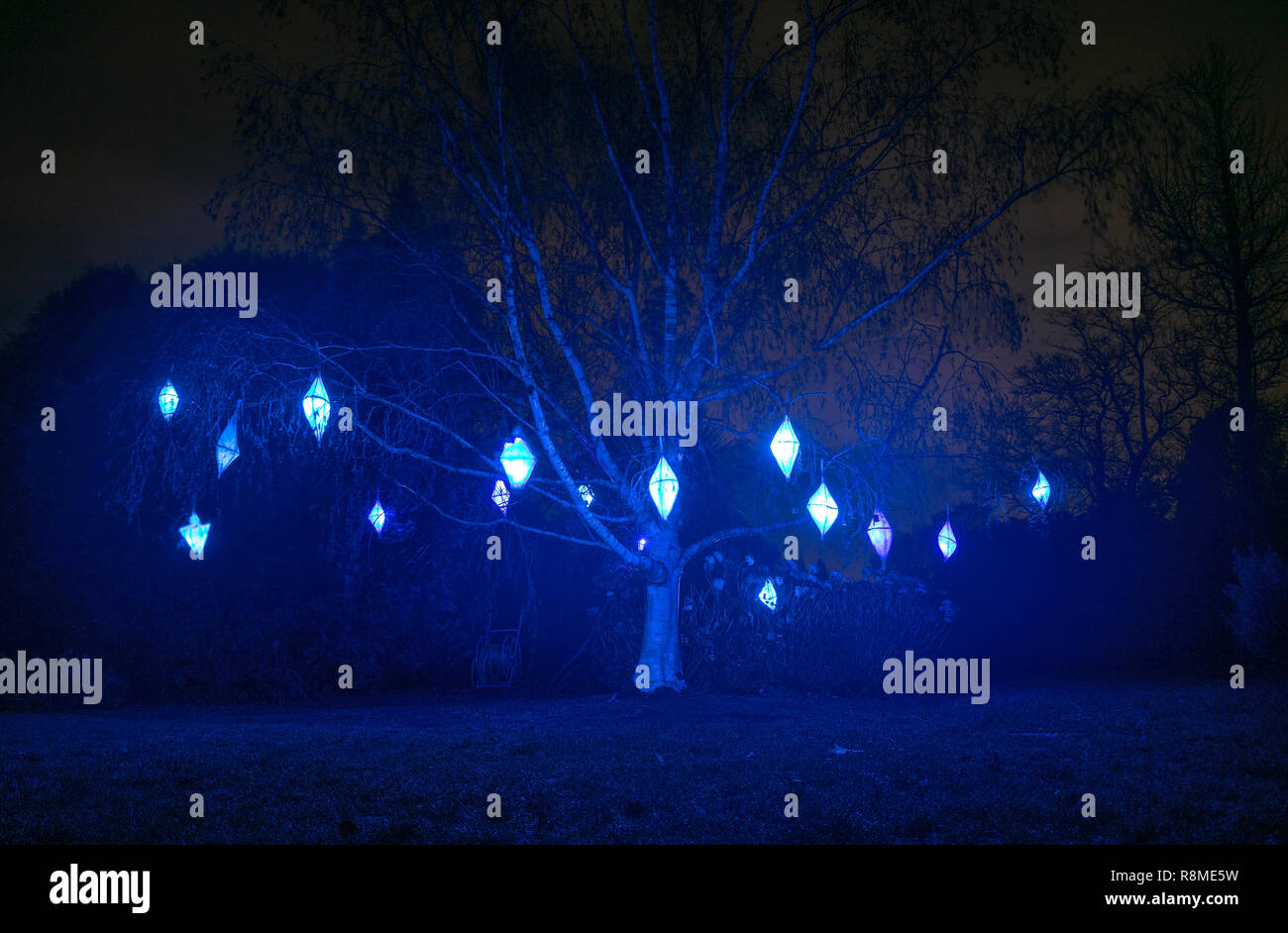 Wakehurst Place Glow Wild Banque D'Images