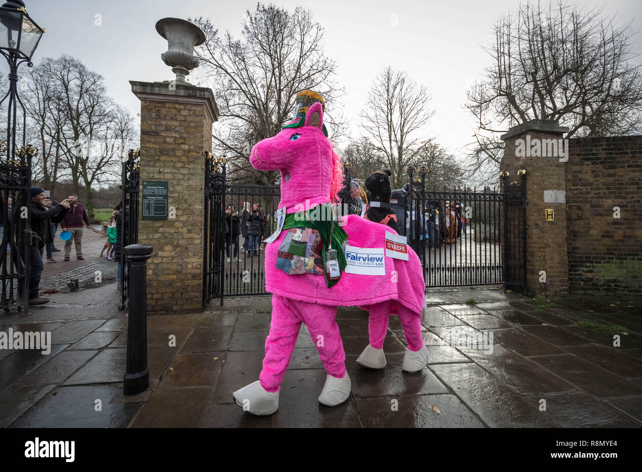 Londres, Royaume-Uni. 14Th Dec 2018. La pantomime de Noël annuel Londres Course de chevaux dans la région de Greenwich. Crédit : Guy Josse/Alamy Live News Banque D'Images