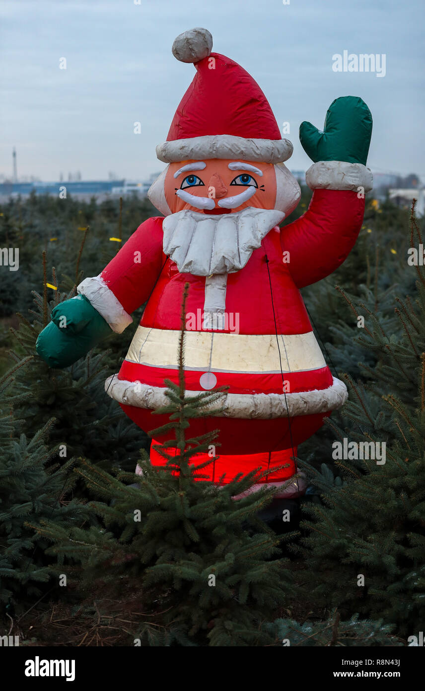 Leipzig, Allemagne. 25Th Dec 2018. Un père Noël est dans une plantation d'arbres de Noël vert près de Leipzig. La douceur du climat actuel laisse peu d'espoir pour la neige, la veille de Noël. Crédit : Jan Woitas/dpa-Zentralbild/dpa/Alamy Live News Banque D'Images