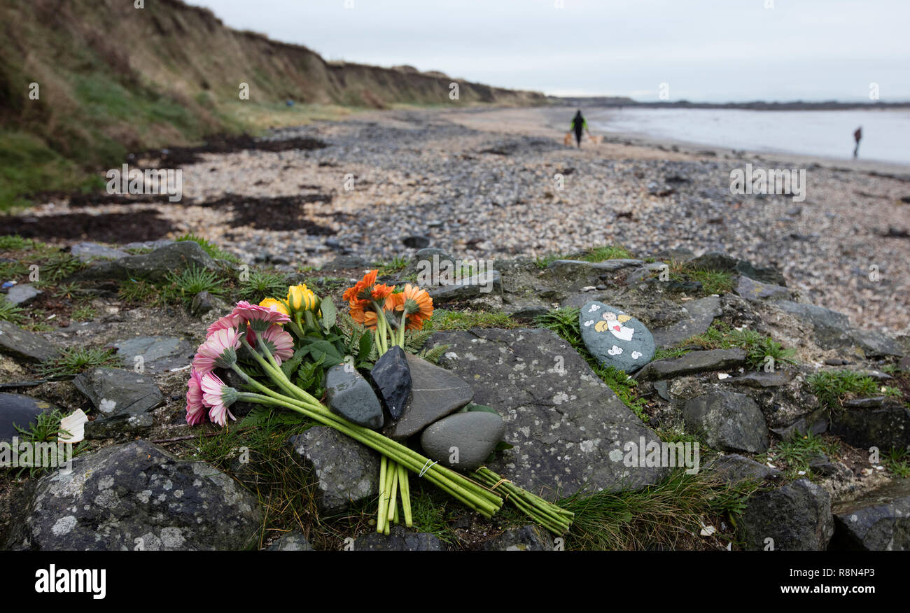La Garda Police Ont Nomme Le Nouveau Ne Bebe Mort Trouve Sur Bells Beach Dans Le Comte De Dublin Que Baby Bell Ils Ont Egalement Fait Appel A Nouveau A La Mere De L Enfant A Venir De L Avant En Toute Confiance Et Obtenir De L Aide Medicale Le Bebe A