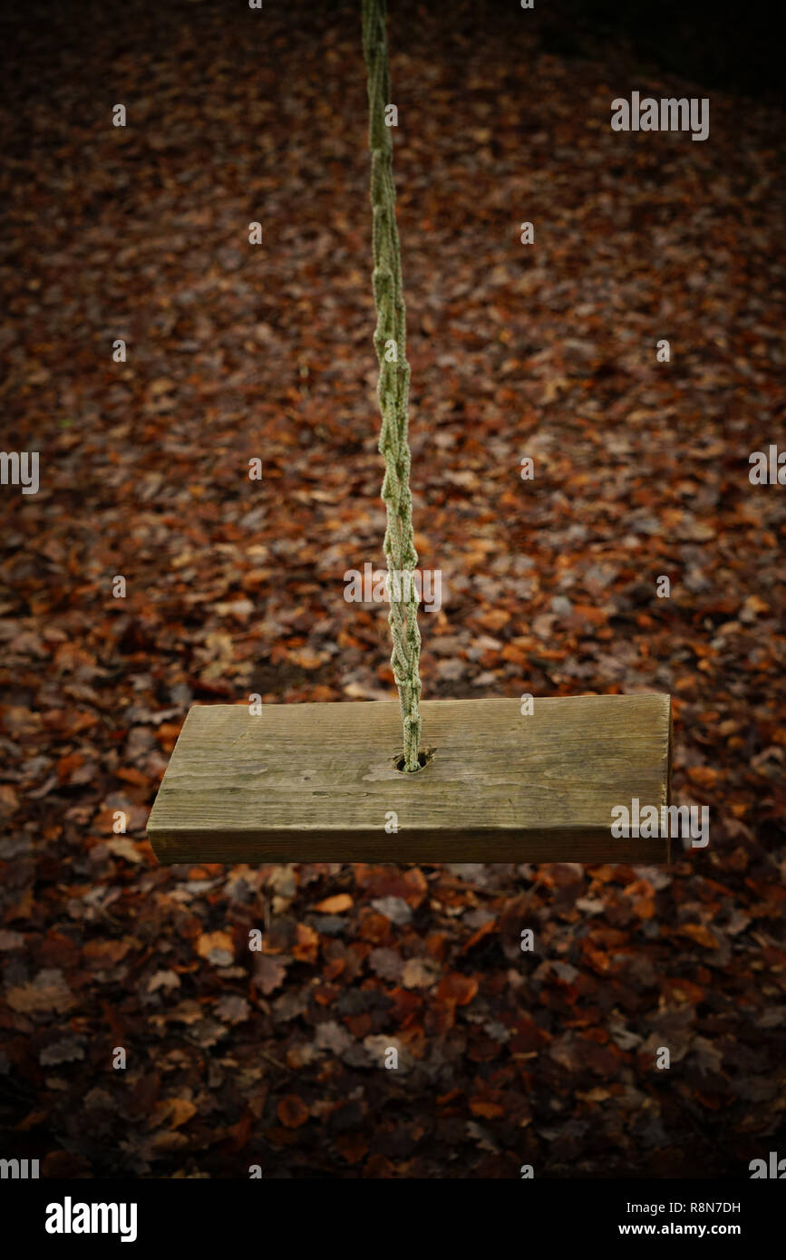 La forêt d'Ashdown Sussex UK a rope swing avec assise en bois situé dans le cadre de feuilles tombées Banque D'Images