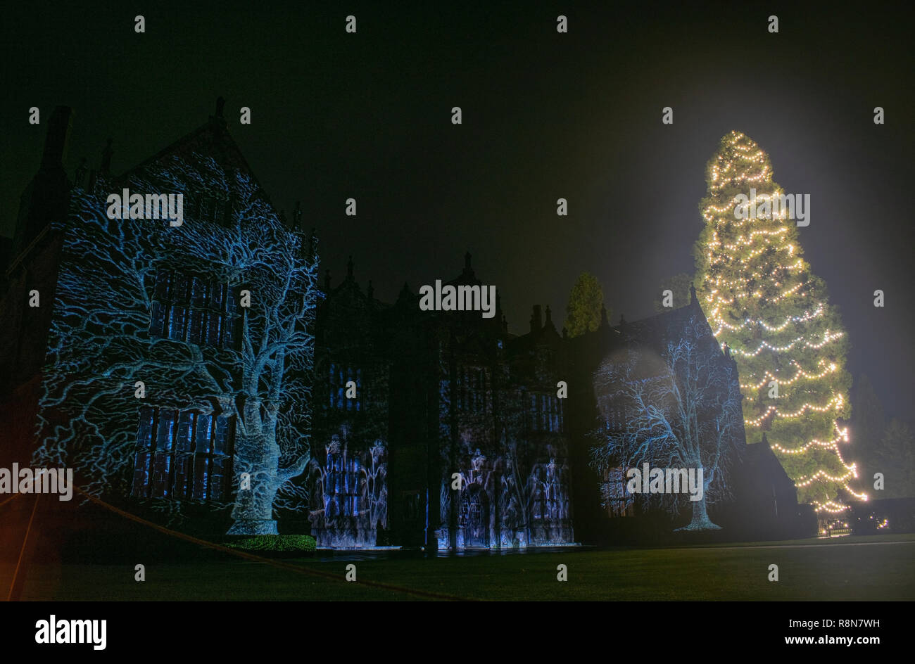 Wakehurst Place Christmas Tree Banque D'Images