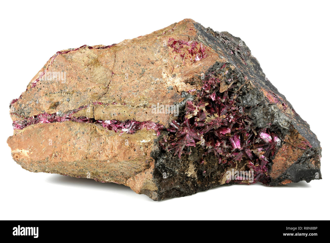 Erythrite (rouge cobalt) de Bou Azzer, Maroc isolé sur fond blanc Banque D'Images