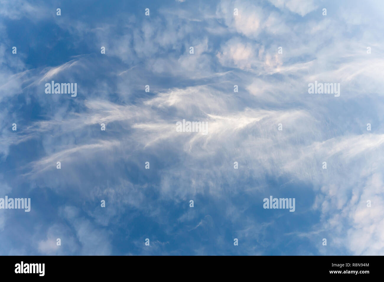 Un ciel rempli de nuages cirrus. Cirrus est un genre de nuage atmosphérique caractérisée par de minces filaments vaporeux,. Banque D'Images