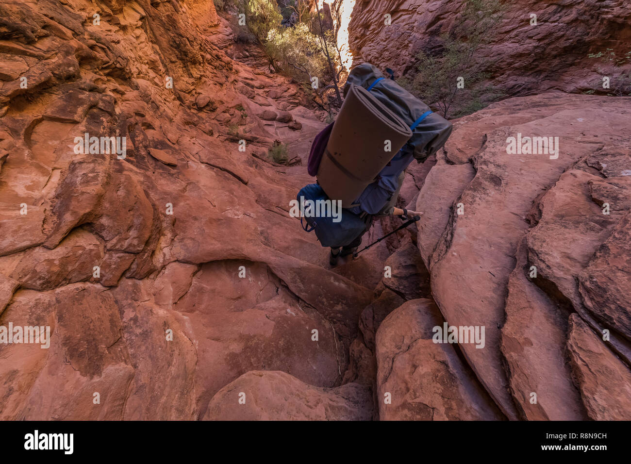 Randonneur dans la roche rouge le long de la Chesler Park Loop Trail dans les aiguilles District de Canyonlands National Park, Utah, USA, octobre Banque D'Images
