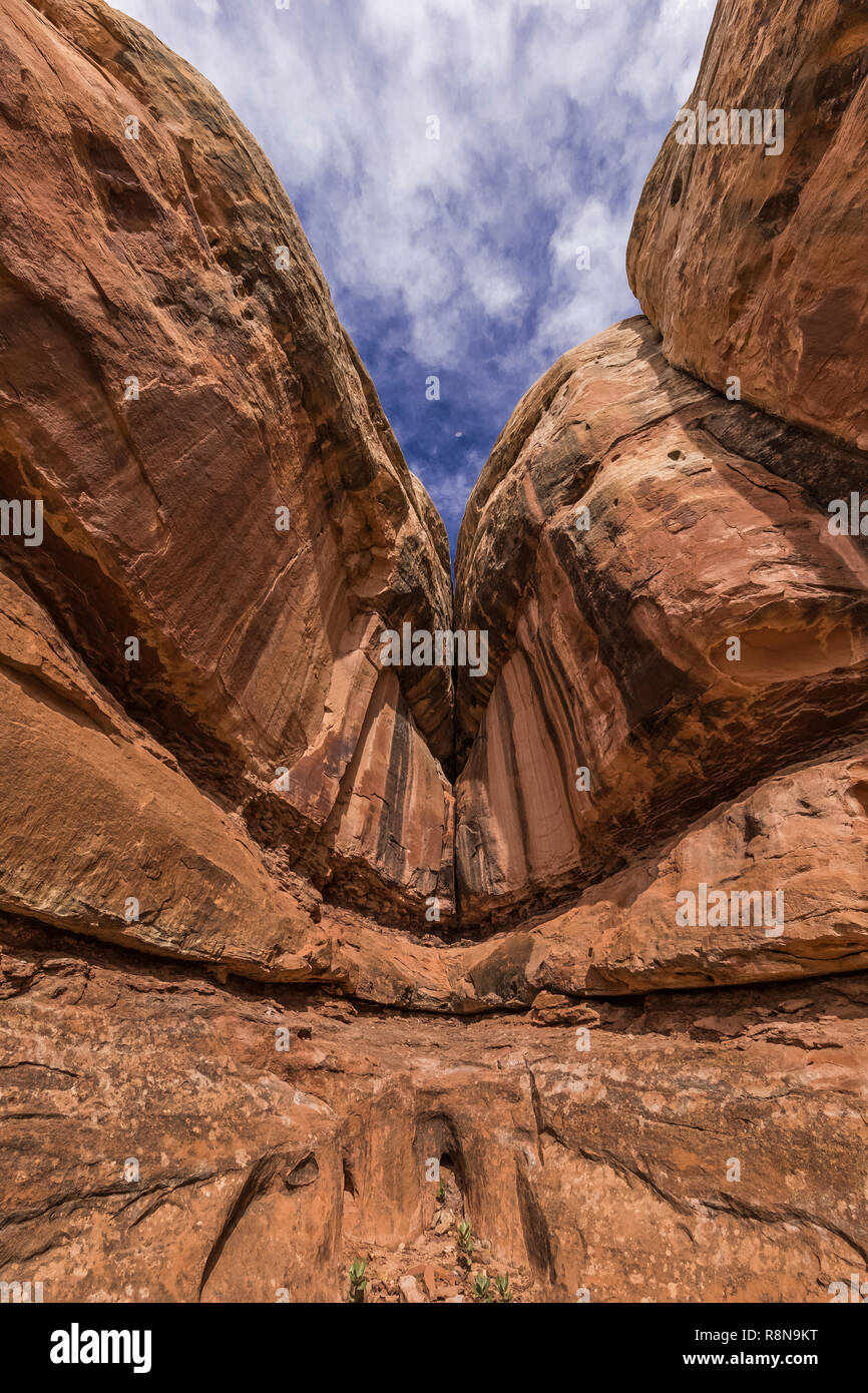 Hausse spectaculaire des falaises de grès, striées de vernis du désert, le long du sentier en boucle Parc Chesler aiguilles dans le District de Canyonlands National Pa Banque D'Images