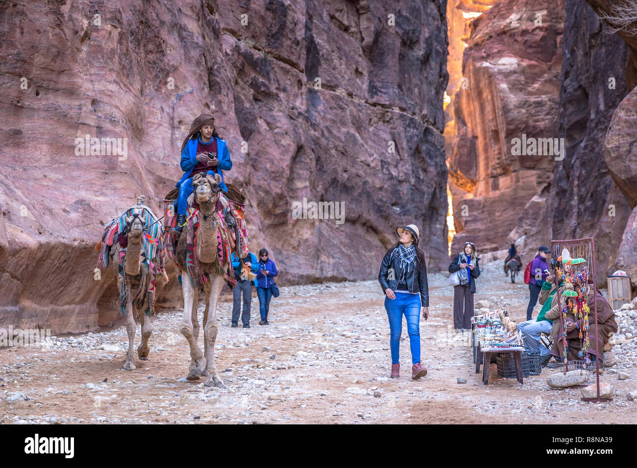 Petra, Jordanie - 26 février 2018 - une jeune femme d'observation  touristique locale une monté sur un chameau à l'intérieur de Petra en  Jordanie Photo Stock - Alamy
