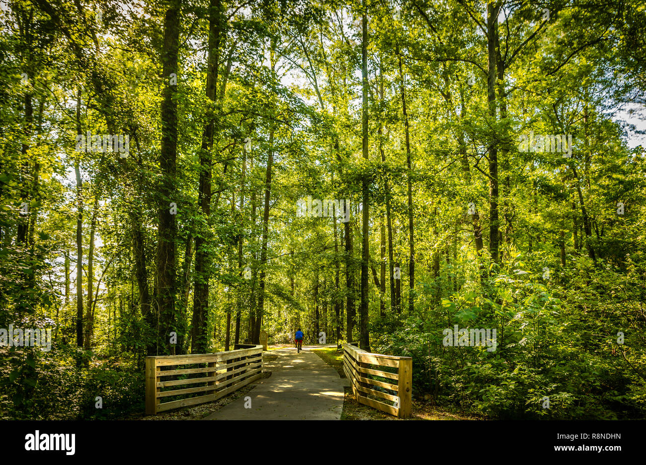 Un cycliste rides descendu un sentier à Réserve Naturelle Davidson-Arabia Mountain Préserver, le 21 mai 2014, à Lithonia, Géorgie. Banque D'Images