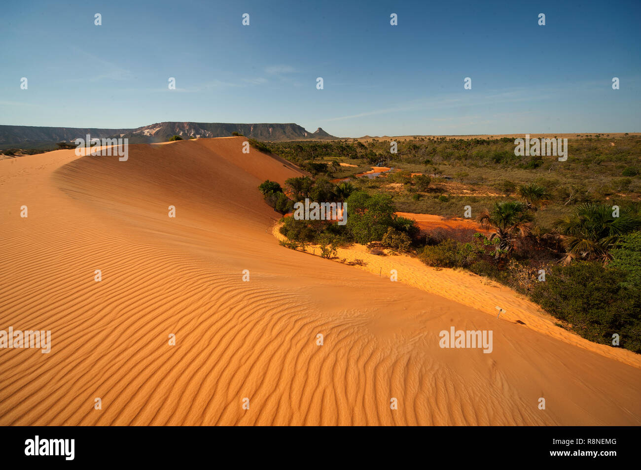 Les célèbres dunes rouges à Jalapão Tocantins, Parc National de l'état. C'est le plus photographié dans le parc d'attraction, zone sauvage au Brésil Banque D'Images