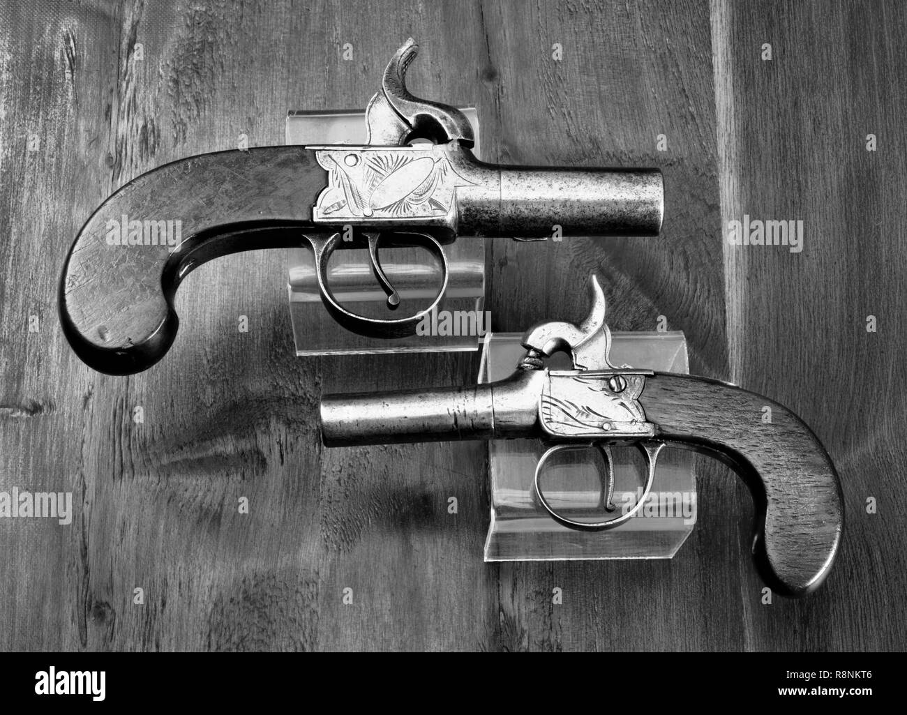 Petit mobilier anglais percusion muff pistolets réalisés autour de 1840 en noir et blanc.. Banque D'Images
