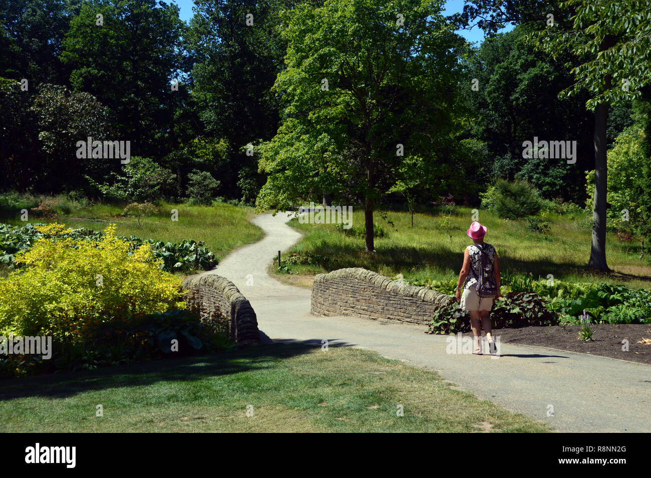 Lone Woman Walking on Path au pont de pierre, à sec RHS Garden Harlow Carr, Harrogate, Yorkshire. UK. Banque D'Images