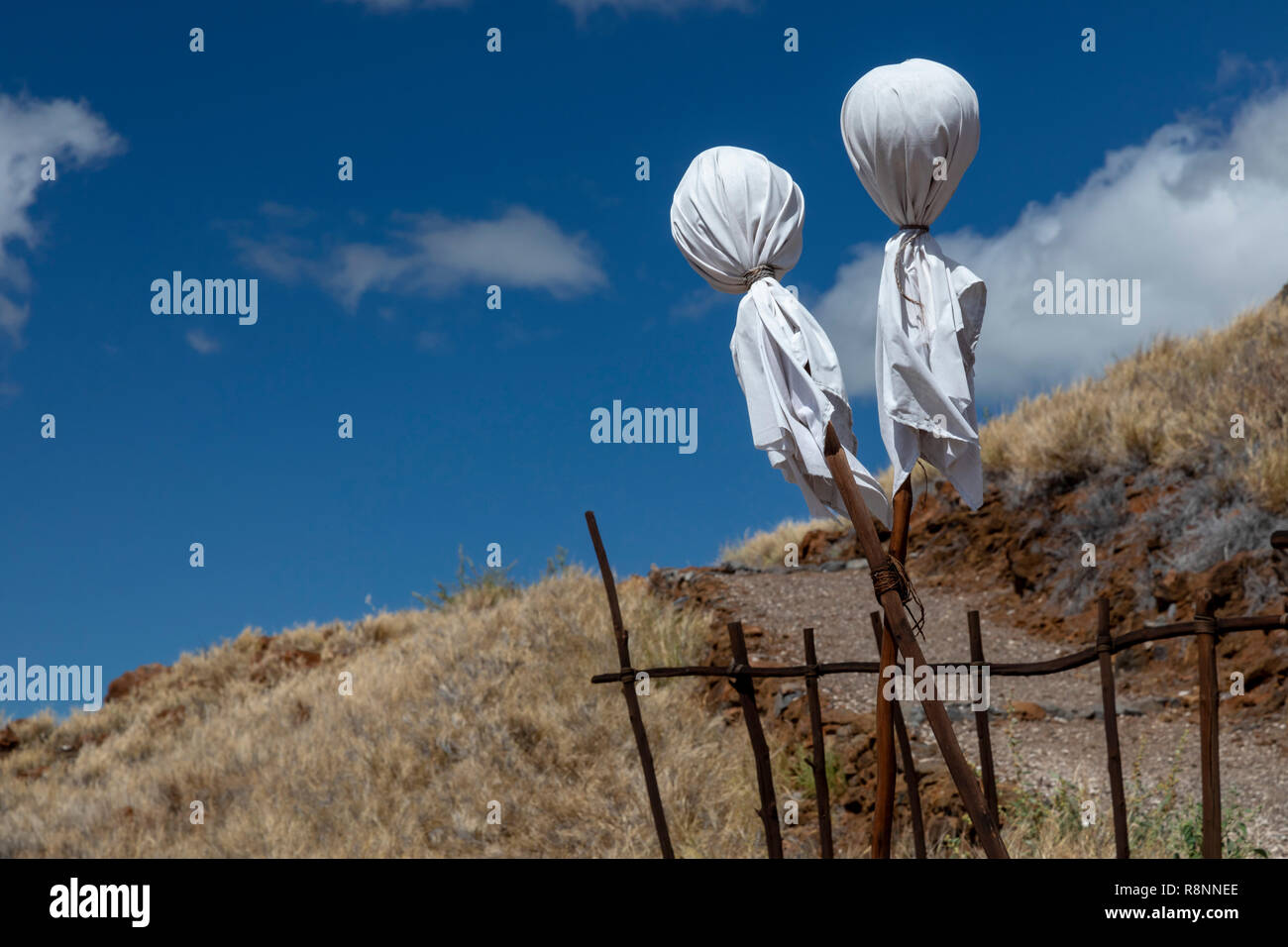 Kawaihae, Hawaii - Pu'ukohola Heiau National Historic Site. Deux puloulou constituent une ancienne 'entrée interdite' signe, indiquant qu'il est interdit Banque D'Images