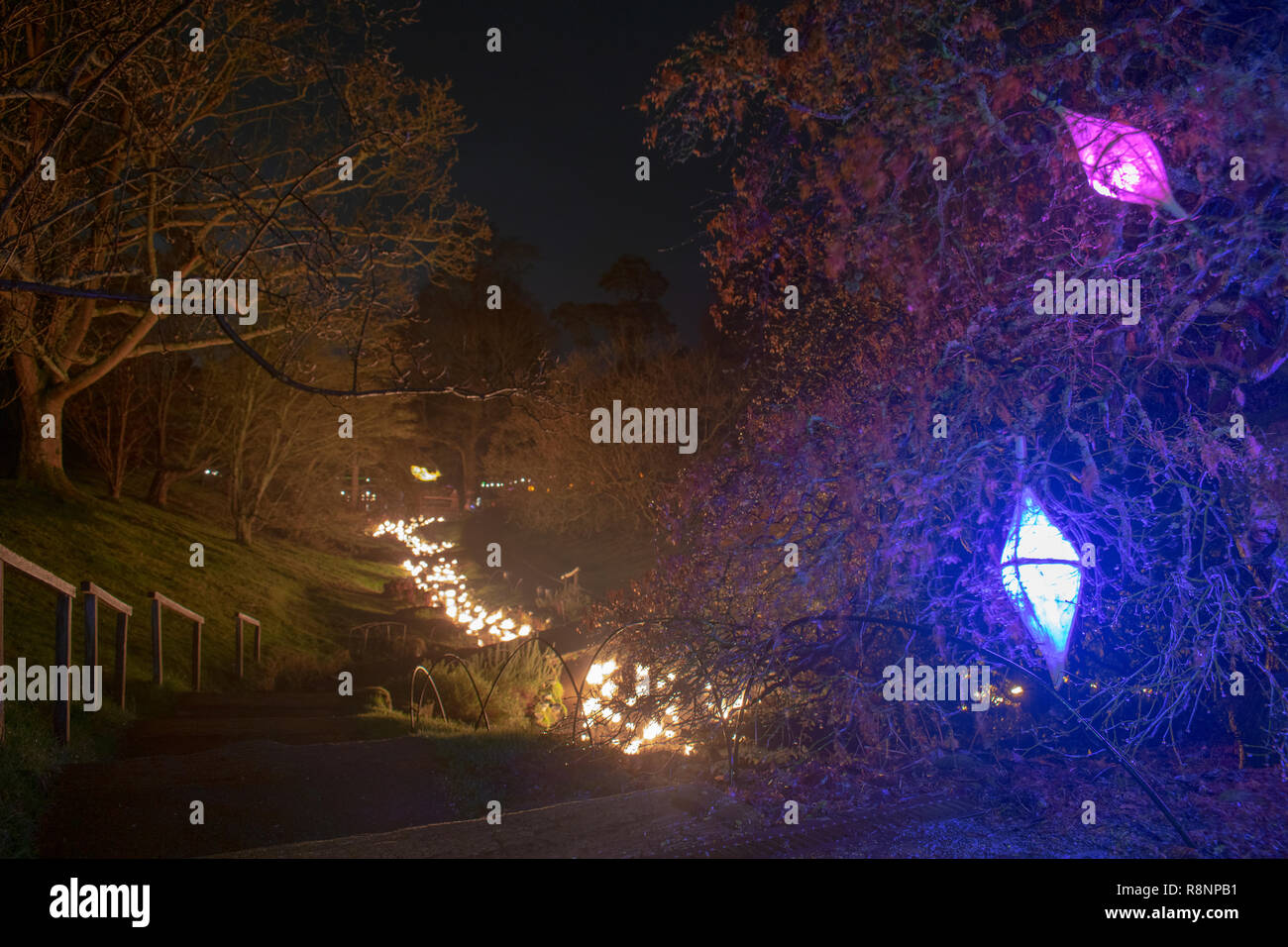 Wakehurst Place Bougies Bougies sauvages Banque D'Images