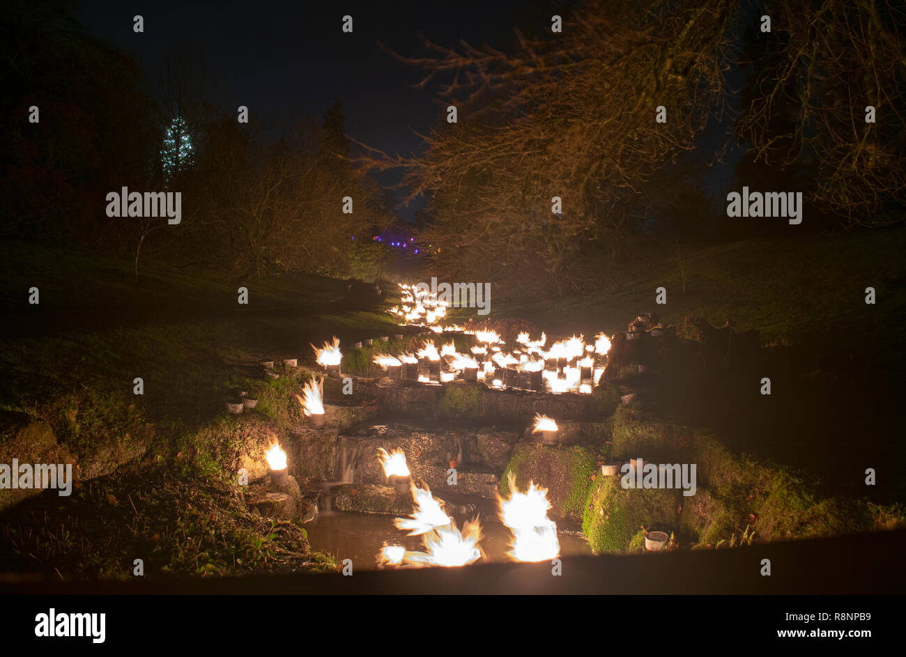 Wakehurst Place Bougies Bougies sauvages Banque D'Images