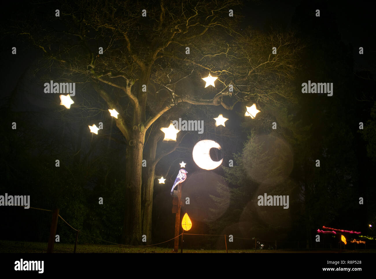 Wakehurst Place Glow Wild Banque D'Images