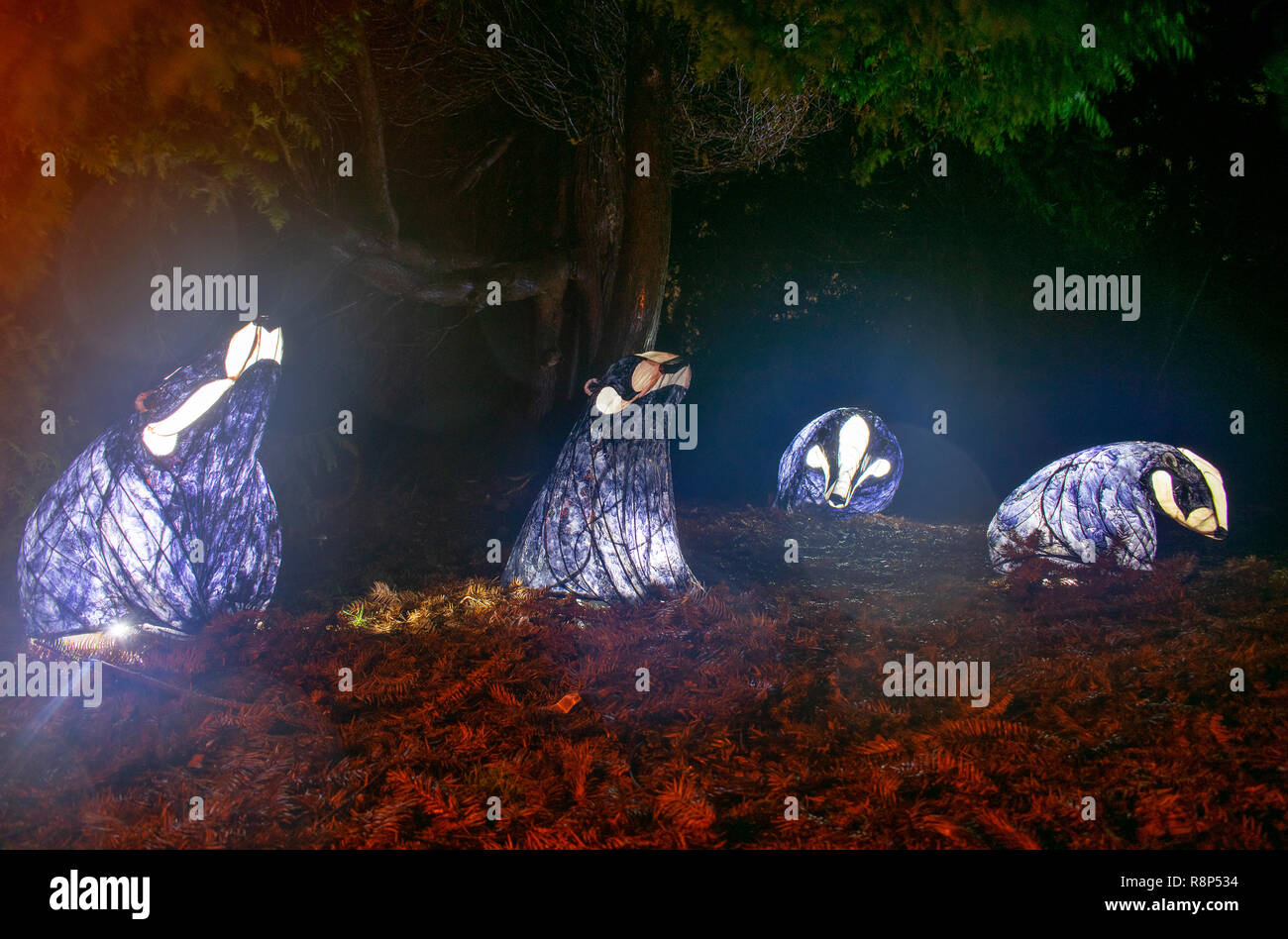 Wakehurst Place Glow Wild Banque D'Images